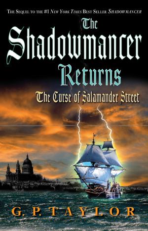 Book cover of The Shadowmancer Returns: The Curse of Salamander Street