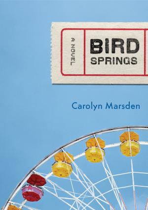 Cover of the book Bird Springs by Edwidge Danticat