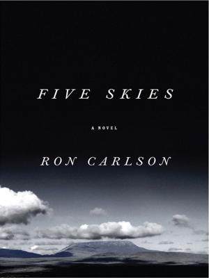 Book cover of Five Skies