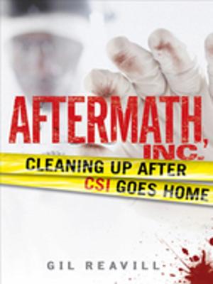 Cover of the book Aftermath, Inc. by Professor Happycat, icanhascheezburger.com