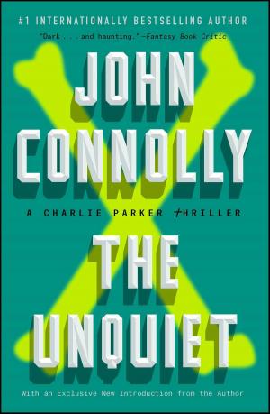 bigCover of the book The Unquiet by 