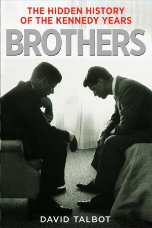 Cover of the book Brothers by David Perkins