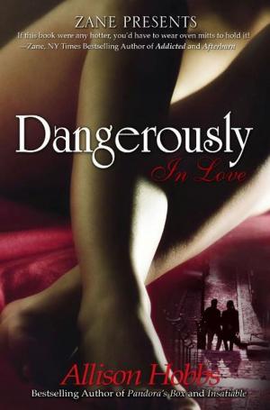 Cover of the book Dangerously In Love by Suzetta Perkins