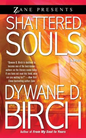 Cover of the book Shattered Souls by Pat Tucker