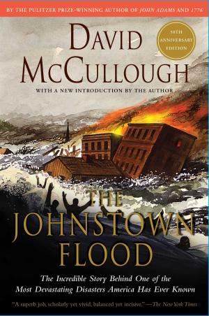 Cover of the book Johnstown Flood by Michael Hiltzik