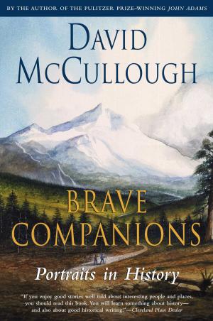 Cover of the book Brave Companions by Barbara Seaman, Laura Eldridge