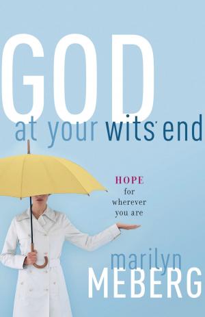 Cover of the book God at Your Wits' End by Stormie Omartian