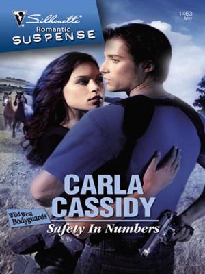 Cover of the book Safety in Numbers by Barbara McCauley
