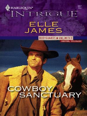 Cover of the book Cowboy Sanctuary by B.J. Daniels, Elle James, Cindi Myers