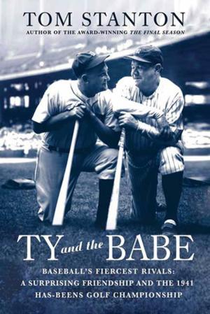 Cover of the book Ty and The Babe by Jean Lipman-Blumen, Grace Gabe
