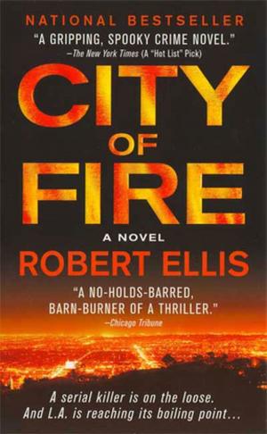 Cover of the book City of Fire by Bob Morris