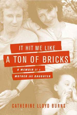 Cover of the book It Hit Me Like a Ton of Bricks by Denis Johnson