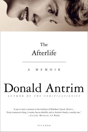Cover of the book The Afterlife by Aleksandar Hemon
