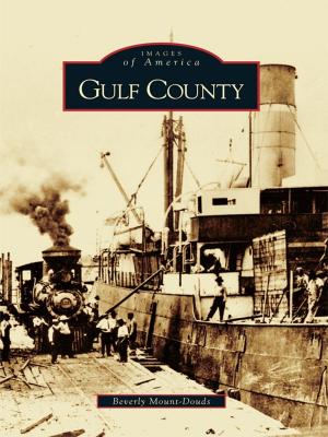 Cover of the book Gulf County by Nanci Monroe Kimmey, Georgia Kemp Caraway