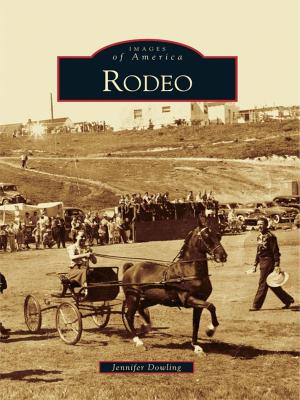 Cover of the book Rodeo by Deborah Muth