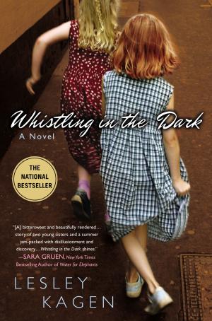 Cover of the book Whistling In the Dark by LuAnn McLane