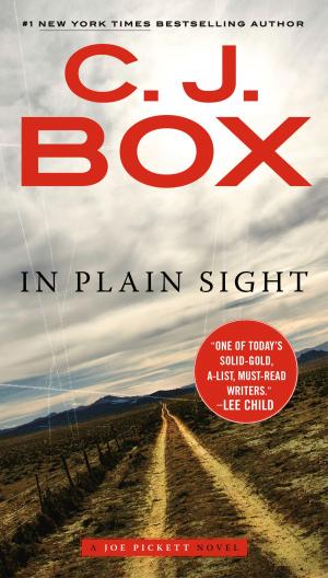 Cover of the book In Plain Sight by Jeff Edwards