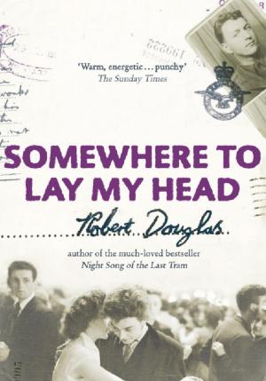 Book cover of Somewhere to Lay My Head