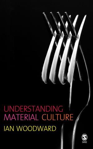 bigCover of the book Understanding Material Culture by 
