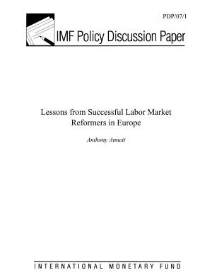 Cover of the book Lessons from Successful Labor Market Reformers in Europe by Cheikh A. Gueye, Javier Arze del Granado, Rodrigo Garcia-Verdu, Mumtaz Hussain, B. Jang, Sebastian Weber, Juan S Corrales