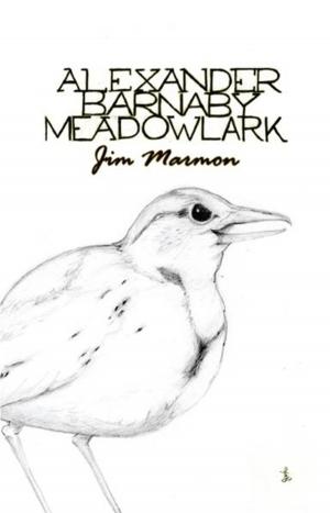 Cover of the book Alexander Barnaby Meadowlark by Susan Elliott-Korsgren