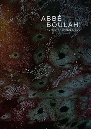Cover of the book Abbe Boulah! by Sally Bailey Jasperson