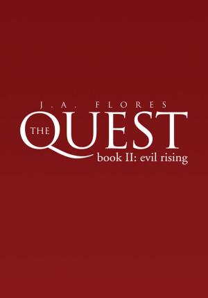 Cover of the book The Quest by Nunzia Castaldo