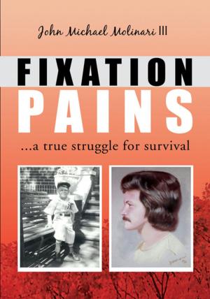 Cover of the book Fixation Pains by John G. Denham