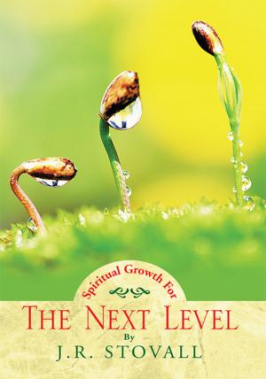 Cover of the book The Next Level by Wes Engel