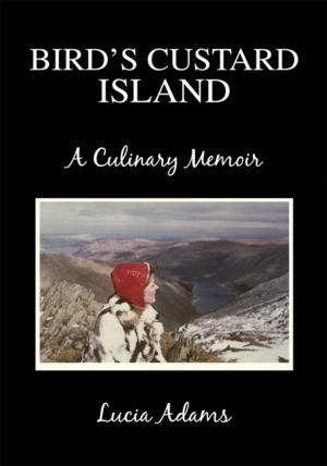 bigCover of the book Bird's Custard Island by 