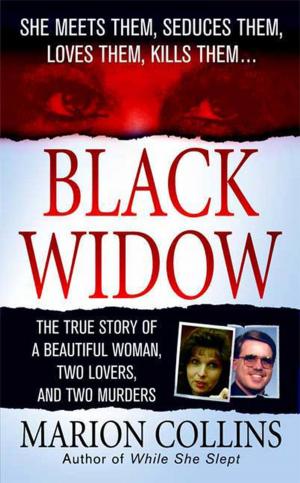 Cover of the book Black Widow by Irina Reyn