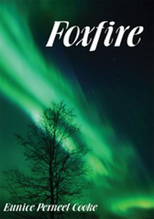 Cover of the book Foxfire by Hollie Delaney