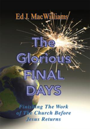 Cover of the book The Glorious Final Days by Summer Burns-Allen