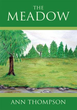 Cover of the book The Meadow by Patrick L. McKiernan