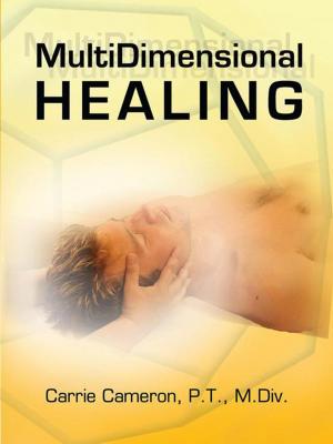 Cover of the book Multidimensional Healing by Rene Vega, Shirley Fisher.
