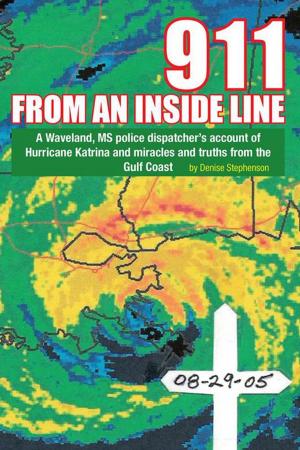 Cover of the book 911 from an Inside Line by Mekael