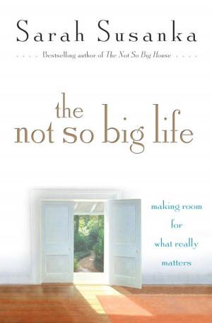 Cover of the book The Not So Big Life by Kris Radish