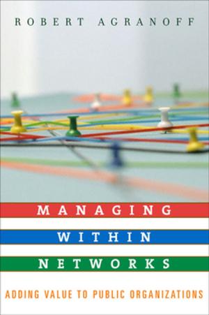 Cover of the book Managing within Networks by Jacqueline Vaughn Switzer, Jacqueline Vaughn Switzer