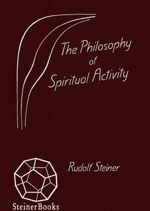 Cover of the book The Philosophy of Spiritual Activity by Theodor Schwenk, Wolfram Schwenk