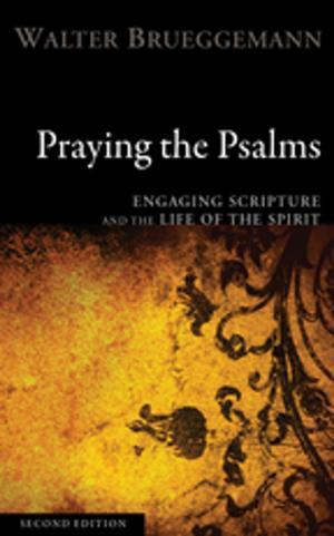 Cover of the book Praying the Psalms, Second Edition by David Matzko McCarthy, Kurt E. Blaugher