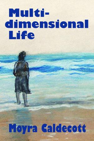 Cover of the book Multi-Dimensional Life by Alan Burt Akers