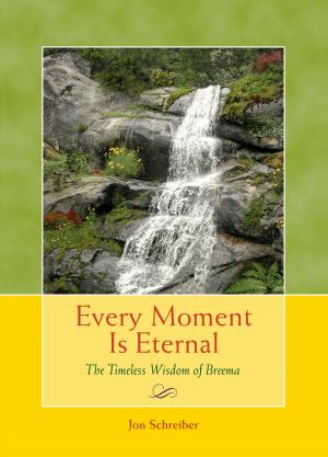 bigCover of the book Every Moment Is Eternal by 