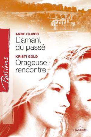 Book cover of L'amant du passé - Orageuse rencontre (Harlequin Passions)
