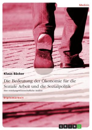 Cover of the book Die Bedeutung der Ökonomie für die Soziale Arbeit und die Sozialpolitik by Anna Theresa Wendel