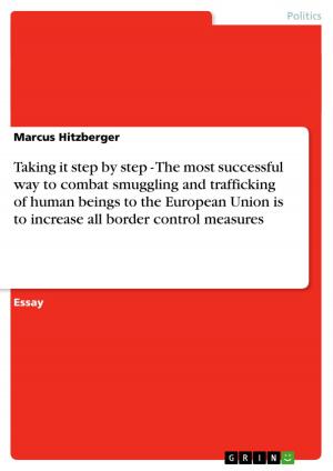 Cover of the book Taking it step by step - The most successful way to combat smuggling and trafficking of human beings to the European Union is to increase all border control measures by Carolin Wobben