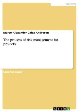 Cover of the book The process of risk management for projects by Christian Albrecht