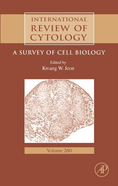 Cover of the book International Review of Cytology by , Elsevier Science