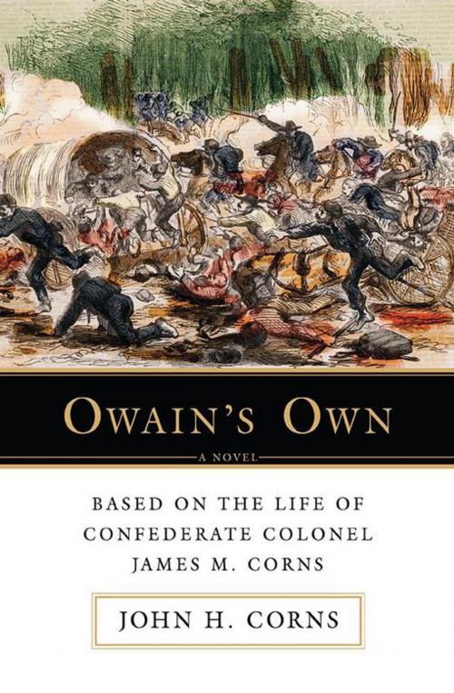 Cover of the book Owainýs Own by John H. Corns, iUniverse