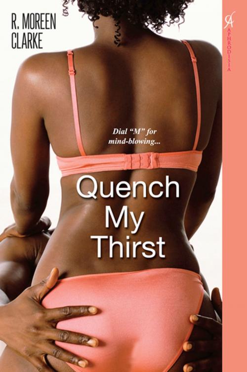 Cover of the book Quench My Thirst by R. Moreen Clarke, Kensington Books