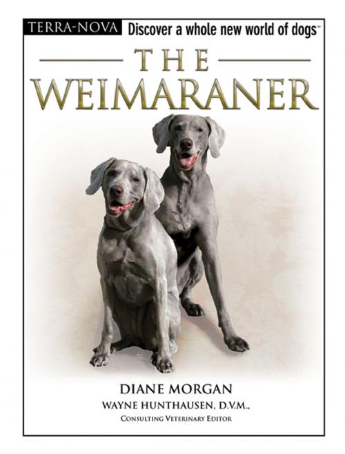 Cover of the book The Weimaraner by Diane Morgan, TFH Publications, Inc.